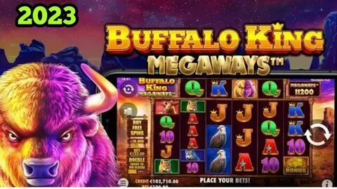 startbet cassino 
